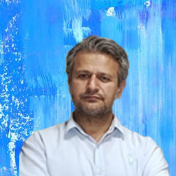 Seyed Hosein Alavi Rashed