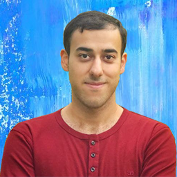 Younes Farzaneh